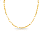 The Golden Toggle Chain Necklace